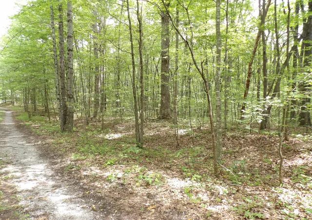 Photo 3 of Land for sale at 000 Maple Ln, Crossville, TN 38572 | MLS# 1514497 | Listing updated on 2026-07-27