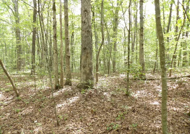Photo 4 of Land for sale at 000 Maple Ln, Crossville, TN 38572 | MLS# 1514497 | Listing updated on 2026-07-27