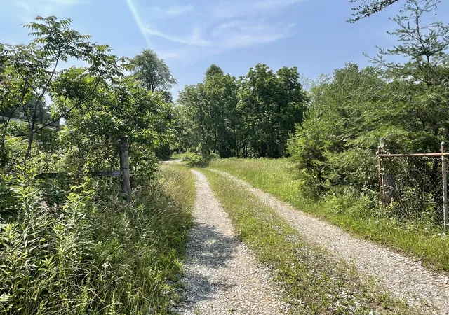 Homes for sale in Pikeville, TN | 4750 Thomas And Smith Rd, Pikeville, TN 37367 | MLS# 1514564