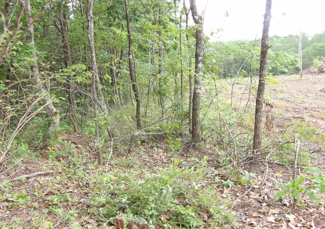 Homes for sale in Evensville, TN | Lot 7 Hughes Cemetery Rd #7, Evensville, TN 37332 | MLS# 1514913