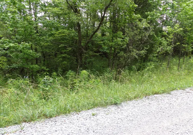 Homes for sale in Evensville, TN | Lot 7 Hughes Cemetery Rd #7, Evensville, TN 37332 | MLS# 1514913