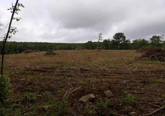 1st image of Lot 8 Hughes Cemetery Rd, Evensville, TN 37332 | MLS# 1514916
