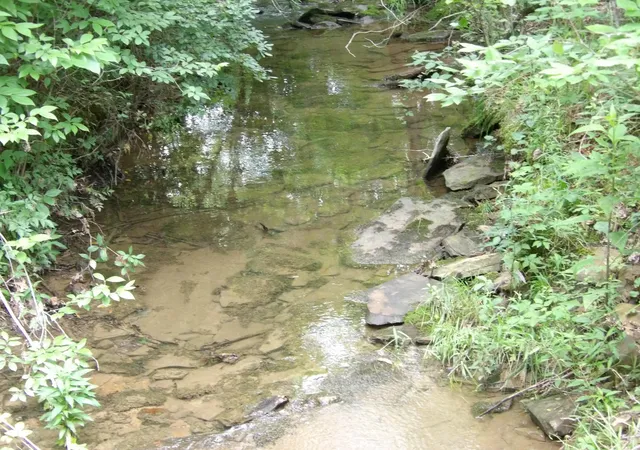 2nd image of Lot 8 Hughes Cemetery Rd, Evensville, TN 37332 | MLS# 1514916