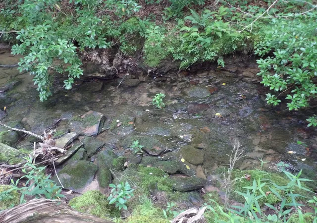3rd image of Lot 8 Hughes Cemetery Rd, Evensville, TN 37332 | MLS# 1514916