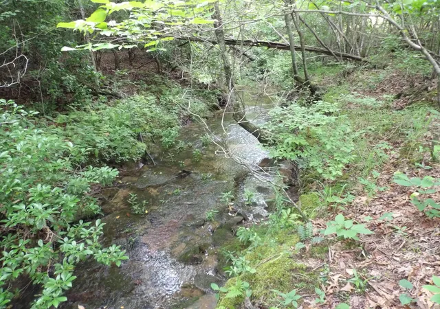 4th image of Lot 8 Hughes Cemetery Rd, Evensville, TN 37332 | MLS# 1514916