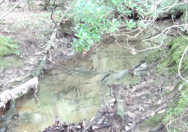 5th image of Lot 8 Hughes Cemetery Rd, Evensville, TN 37332 | MLS# 1514916