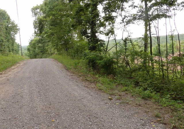 Homes for sale in Evensville, TN | Lot 11 Hughes Cemetery Rd, Evensville, TN 37332 | MLS# 1515047