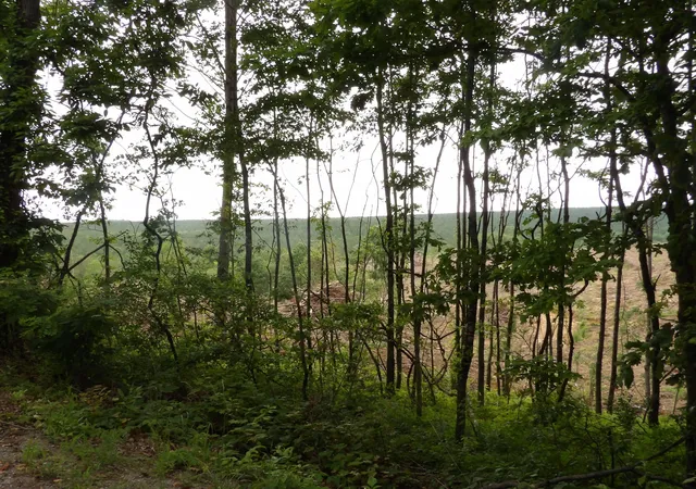 Homes for sale in Evensville, TN | Lot 11 Hughes Cemetery Rd, Evensville, TN 37332 | MLS# 1515047