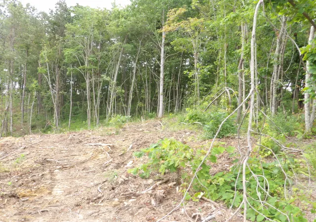 3rd image of Lot 11 Hughes Cemetery Rd, Evensville, TN 37332 | MLS# 1515047
