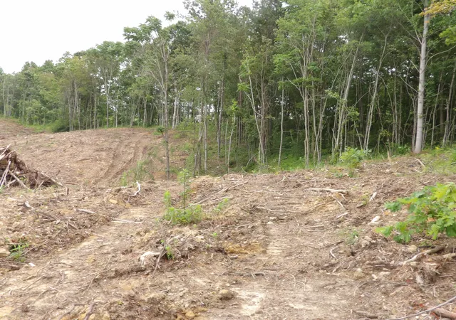 4th image of Lot 11 Hughes Cemetery Rd, Evensville, TN 37332 | MLS# 1515047