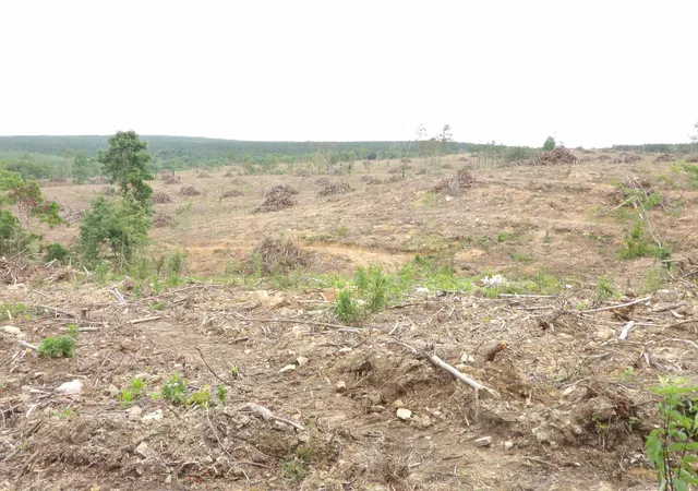 5th image of Lot 11 Hughes Cemetery Rd, Evensville, TN 37332 | MLS# 1515047