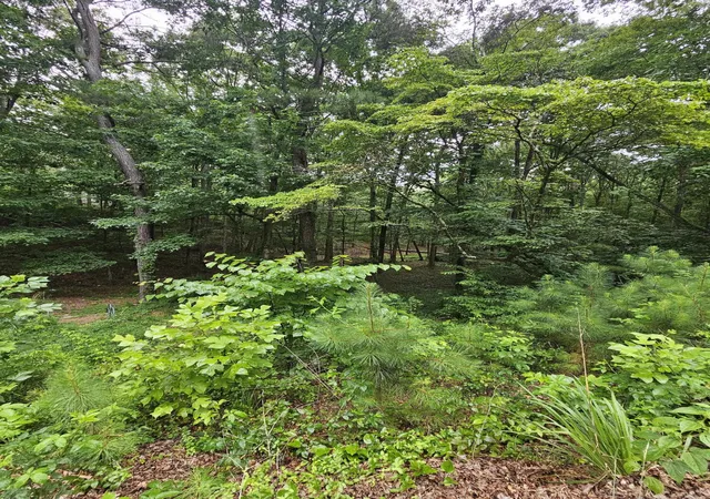 2nd image of 0 Pineywood Dr, Ringgold, GA 30736 | MLS# 1515968