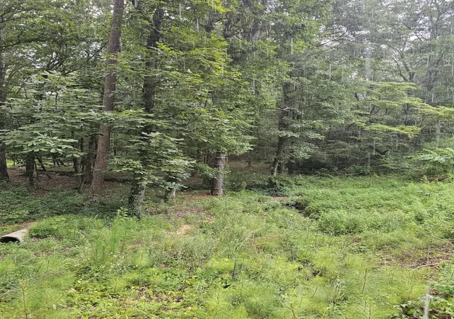 3rd image of 0 Pineywood Dr, Ringgold, GA 30736 | MLS# 1515968