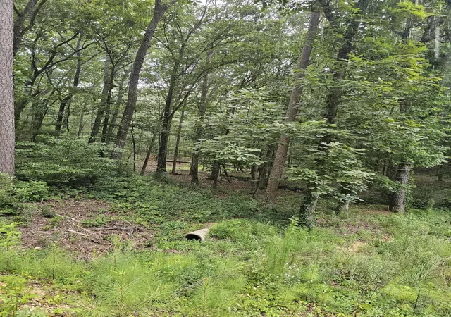 4th image of 0 Pineywood Dr, Ringgold, GA 30736 | MLS# 1515968