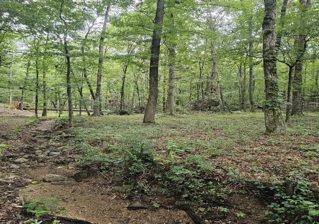 5th image of 0 Pineywood Dr, Ringgold, GA 30736 | MLS# 1515968