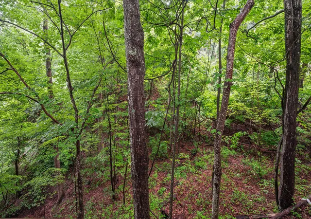 Homes for sale in Gatlinburg, TN | 1025 Lower Alpine Way, Gatlinburg, TN 37738 | MLS# 1516022