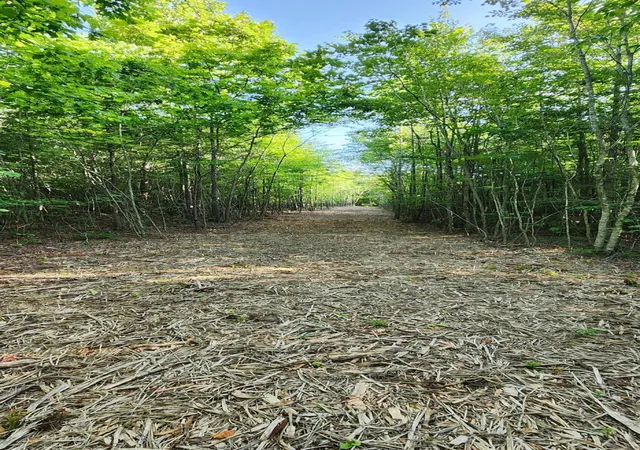 Photo 1 of Land for sale at 0 Tootley Campbell Rd, Monteagle, TN 37356 | MLS# 1516636 | Listing updated on 2026-07-06