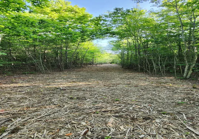Photo 2 of Land for sale at 0 Tootley Campbell Rd, Monteagle, TN 37356 | MLS# 1516636 | Listing updated on 2026-07-06