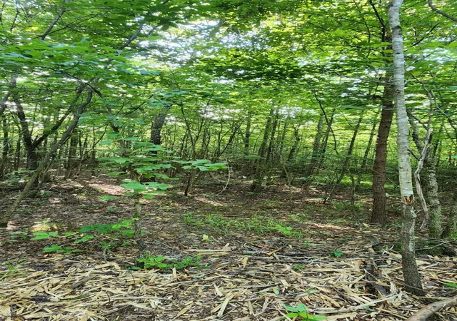 Photo 3 of Land for sale at 0 Tootley Campbell Rd, Monteagle, TN 37356 | MLS# 1516636 | Listing updated on 2026-07-06