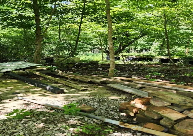 4th image of 506 Chigger Town Loop, Palmer, TN 37365 | MLS# 1516675