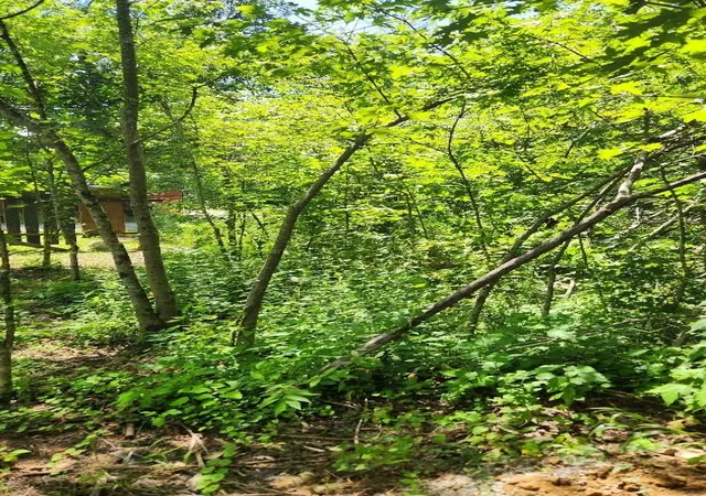5th image of 506 Chigger Town Loop, Palmer, TN 37365 | MLS# 1516675