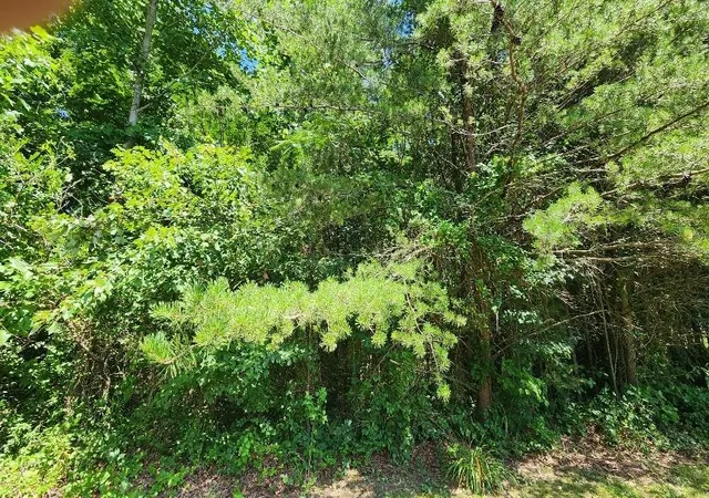 Homes for sale in Gruetli Laager, TN | Lot5 Sr 108, Gruetli Laager, TN 37339 | MLS# 1517003