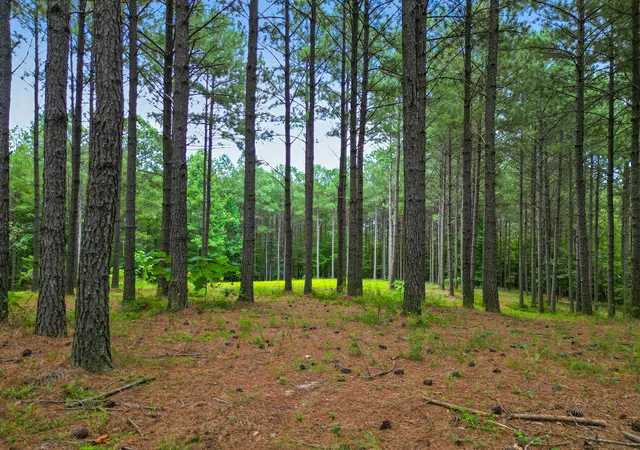 Photo 3 of Land for sale at 0 Compass Dr #228, Jasper, TN 37347 | MLS# 1517858 | Listing updated on 2026-07-31