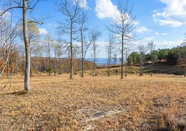 Photo 3 of Land for sale at 0 Misty View Ct #JH53, Jasper, TN 37347 | MLS# 1518092 | Listing updated on 2026-08-27