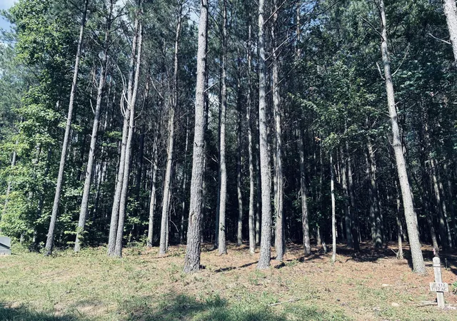 5th image of 4560 Raulston Falls Rd #Jf-112, Jasper, TN 37347 | MLS# 1518433