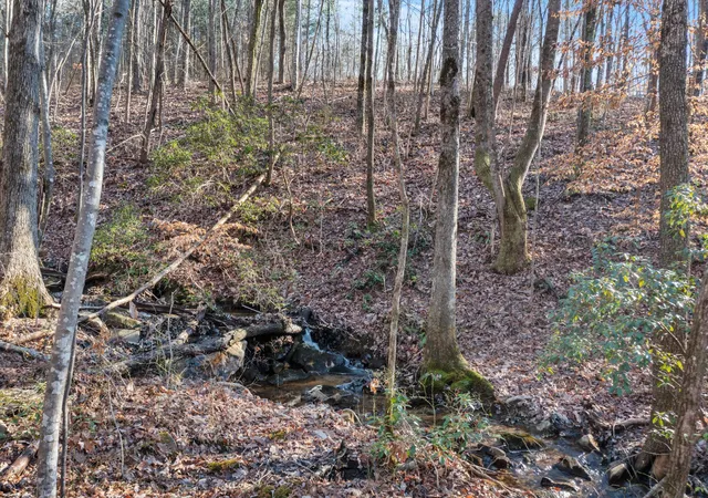 Photo 4 of Land for sale at 0 Cherokee Path #JF254, Jasper, TN 37347 | MLS# 1518447 | Listing updated on 2026-08-31