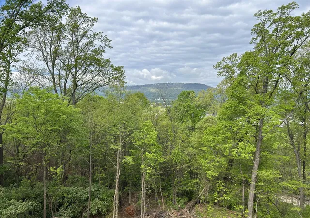 Homes for sale in Chattanooga, TN | 3045 Westside Dr, Chattanooga, TN 37404 | MLS# 1518882