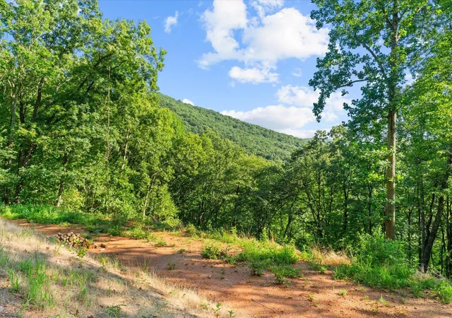 Photo 3 of Land for sale at Lot 4-5 Firetower Rd, Jasper, GA 30143 | MLS# 1518815 | Listing updated on 2026-10-16