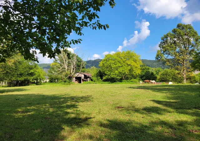 4th image of 8110 Ooltewah Georgetown Rd, Ooltewah, TN 37363 | MLS# 1519207