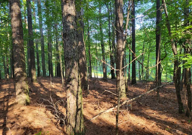Homes for sale in South Pittsburg, TN | 107 Thunder Ridge Dr #Lot 107, South Pittsburg, TN 37380 | MLS# 1518883
