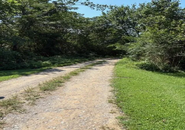 image of 0 Buddy Skyles Tract 1 Rd, Dunlap, TN 37327 | MLS# 1519177