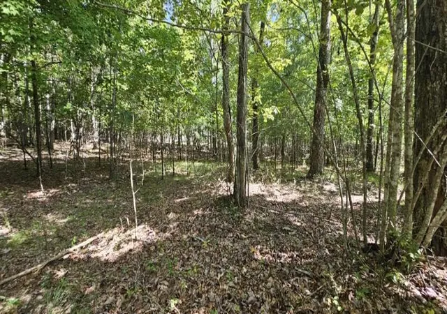 1st image of Lot 327 2 Lake Trl, Dunlap, TN 37327 | MLS# 1520142