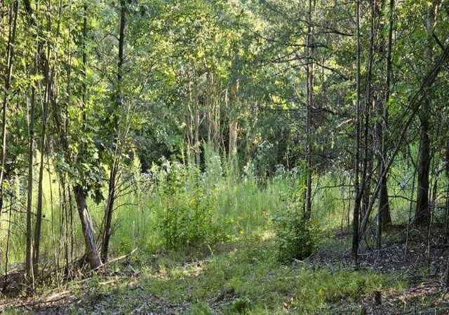 2nd image of Lot 561 Bluff View Dr, Dunlap, TN 37327 | MLS# 1520290