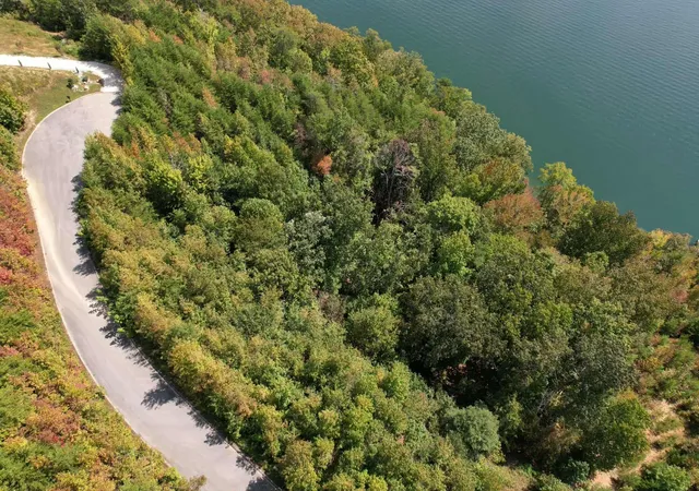 3rd image of Lot 39 Waterside Way, Spring City, TN 37381 | MLS# 1521490