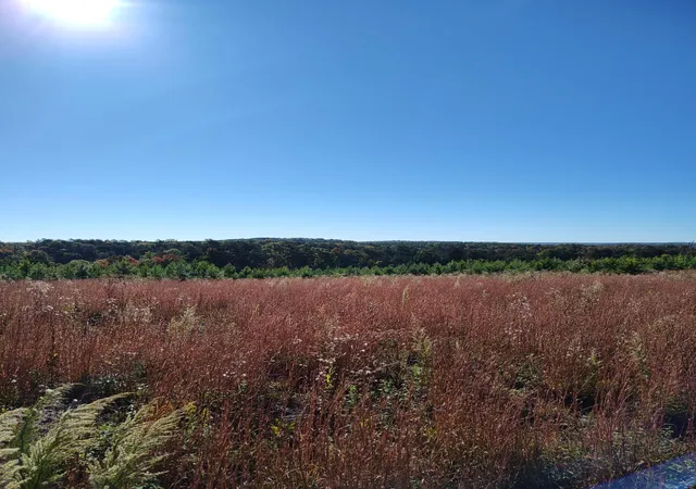 3rd image of 00 Fredonia Rd #21, Dunlap, TN 37327 | MLS# 1522353