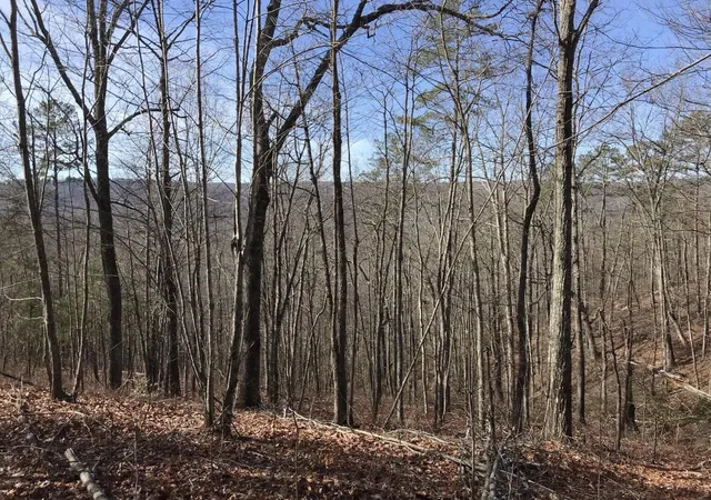 Homes for sale in Dunlap, TN | 0 Chestnut Oak Dr #309, Dunlap, TN 37327 | MLS# 1522550