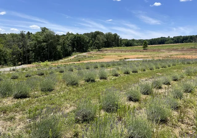 Photo 1 of Land for sale at 353 Co Rd 170, Athens, TN 37303 | MLS# 1522825 | Listing updated on 2026-08-25