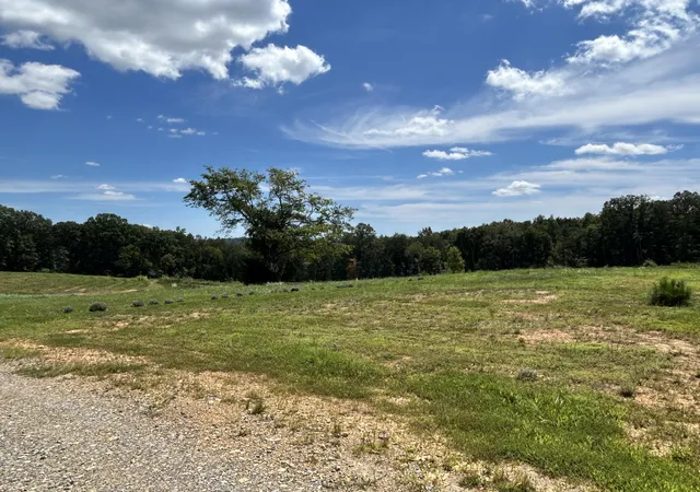 Photo 4 of House for sale at 353 Co Rd 170, Athens, TN 37303 | MLS# 1522825 | Listing updated on 2026-08-25