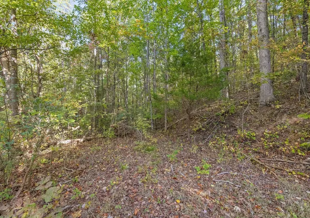 5th image of 0 Inman St, Ringgold, GA 30736 | MLS# 1523086