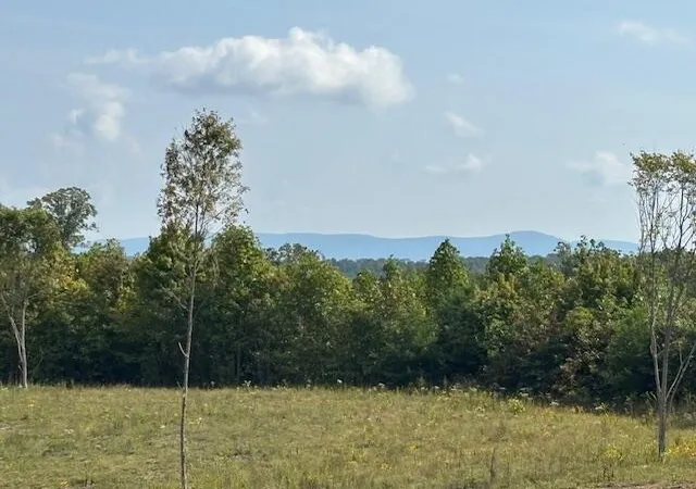 Photo 2 of Land for sale at 0 Otis Daivs Rd, Pikeville, TN 37367 | MLS# 1523145 | Listing updated on 2026-08-25