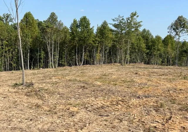 Photo 3 of Land for sale at 0 Otis Daivs Rd, Pikeville, TN 37367 | MLS# 1523145 | Listing updated on 2026-08-25