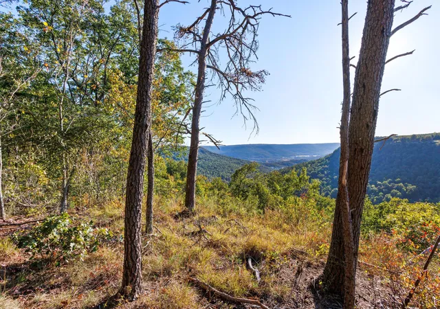 Photo 1 of Land for sale at 0 Raulston Fls Rd #JF28, Jasper, TN 37347 | MLS# 1523359 | Listing updated on 2026-01-08