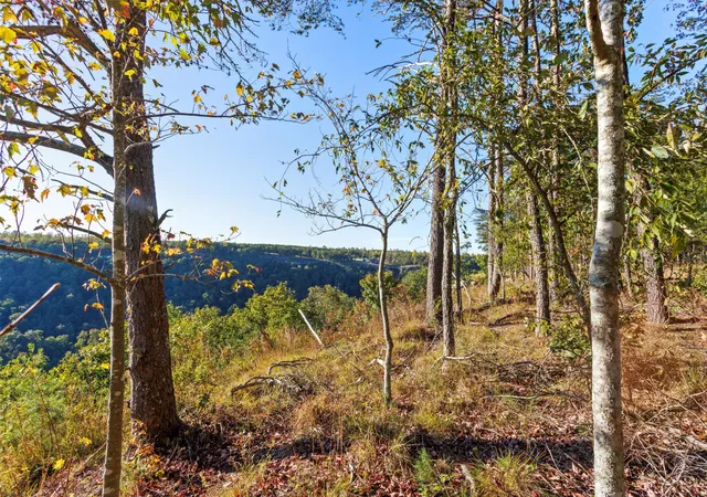 Photo 2 of Land for sale at 0 Raulston Fls Rd #JF28, Jasper, TN 37347 | MLS# 1523359 | Listing updated on 2026-01-08