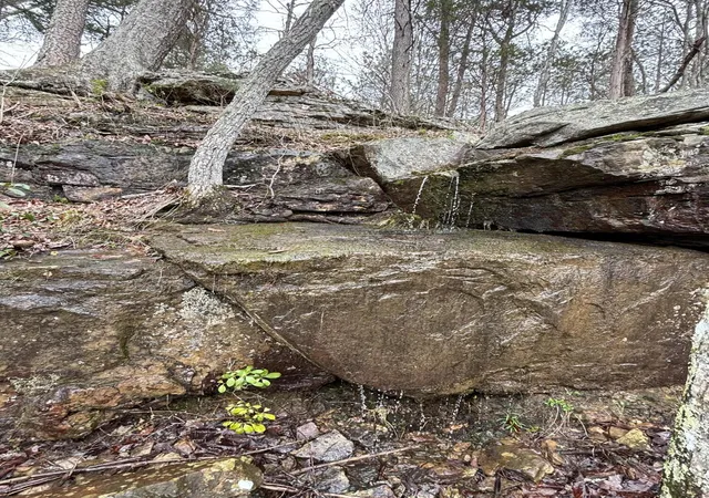 Photo 3 of Land for sale at 0 Raulston Fls Rd #JF28, Jasper, TN 37347 | MLS# 1523359 | Listing updated on 2026-01-08