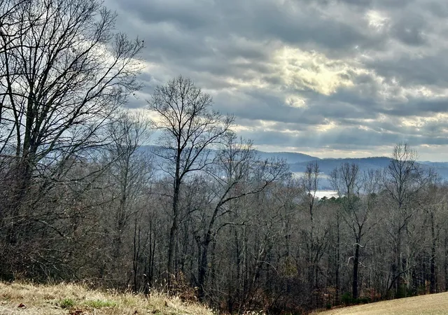 1st image of 0 Topaz Ln, New Tazewell, TN 37825 | MLS# 1523715