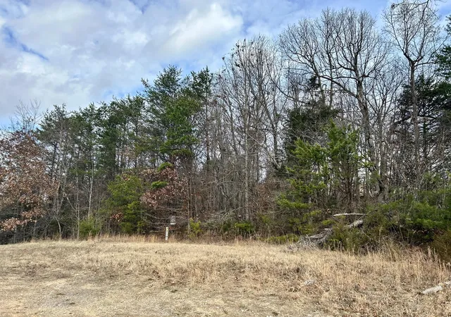 Photo 3 of Land for sale at 0 Topaz Ln, New Tazewell, TN 37825 | MLS# 1523715 | Listing updated on 2026-05-01